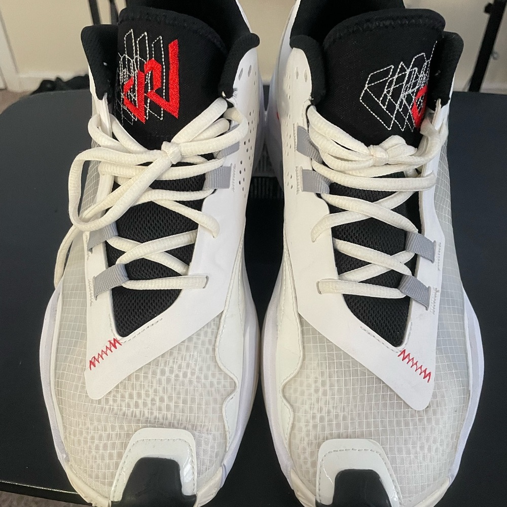 Nike Air Jordan size 11.5